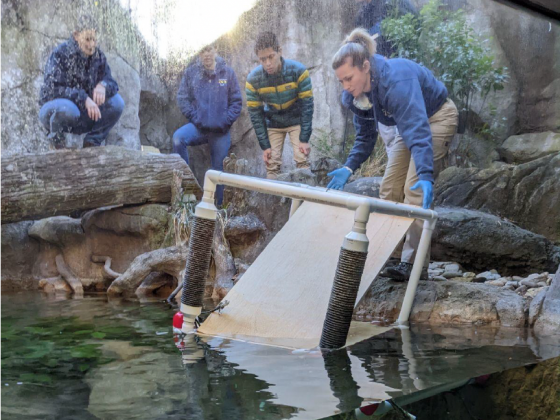 Photo shows engineering students testing an otter playground they designed for the North Carolina Zoo.